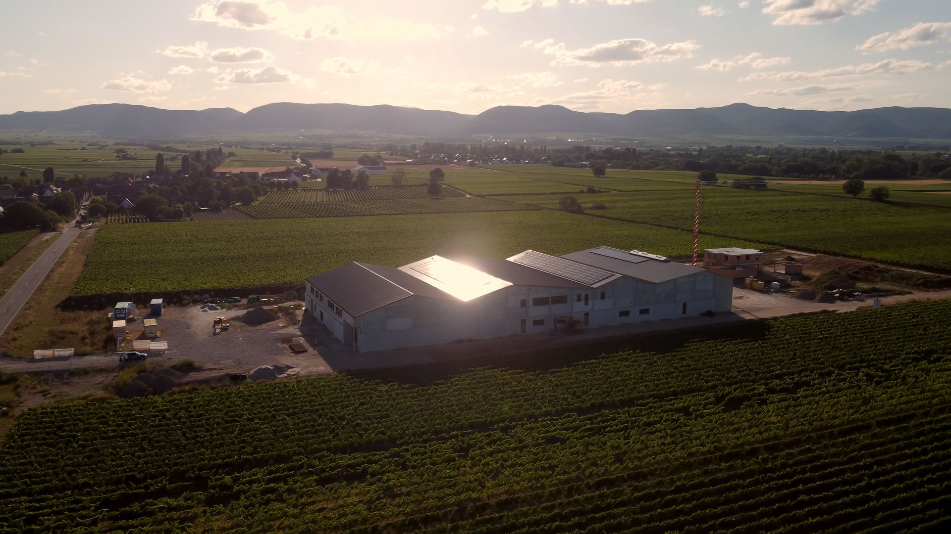 Progetto di generazione di energia fotovoltaica per l’azienda vinicola Ellermann