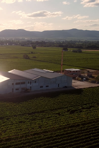 Proyecto de generación de energía fotovoltaica para la bodega de Alemania 