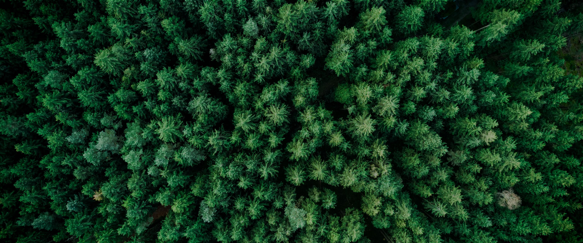 加快世界零碳能源革命 推动地球绿色生态发展 爱蓄电池出货量超过130GW